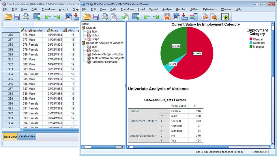 Afbeelding van IBM SPSS tools.