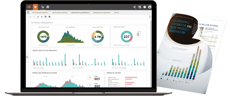 Afbeelding van InetSoft Style Intelligence tools.