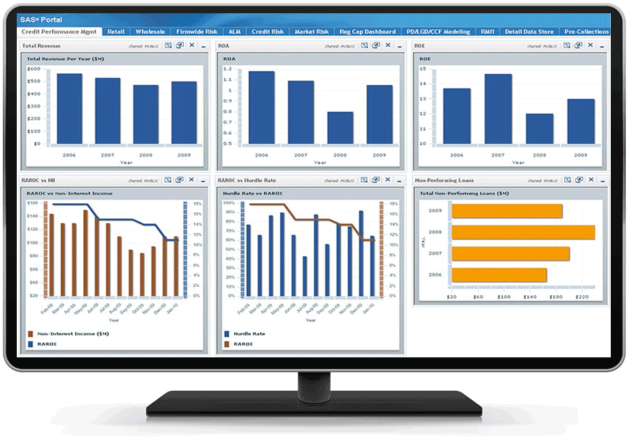 Screenshot van SAS Banking Analytics software.