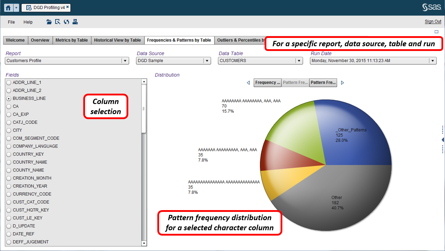 Afbeelding van SAS Data Governance tools.