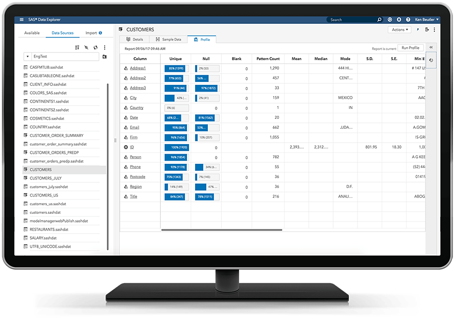 Afbeelding van SAS Data Surveyor tools.