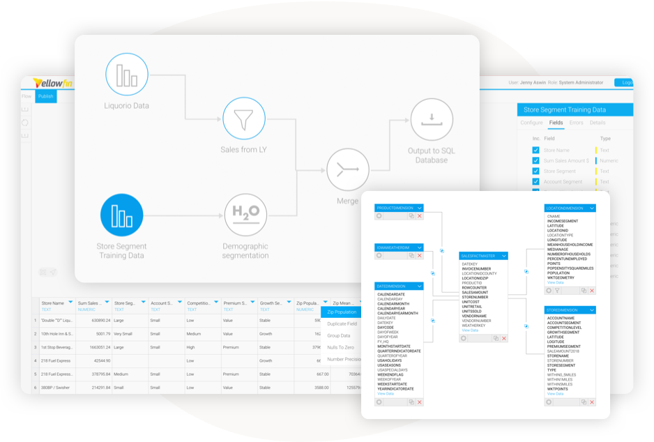 Schema van Yellowfin Suite.